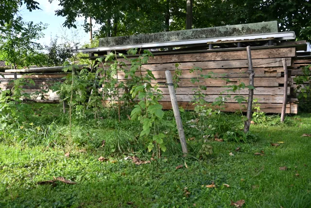 Garten mit Holzbalken (Abtrag der vormaligen Häuser)