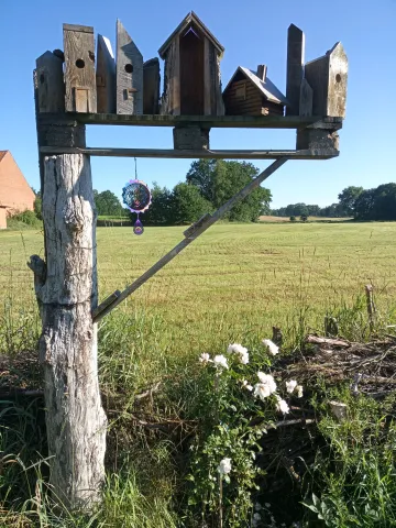 Blick über die Felder vom Garten