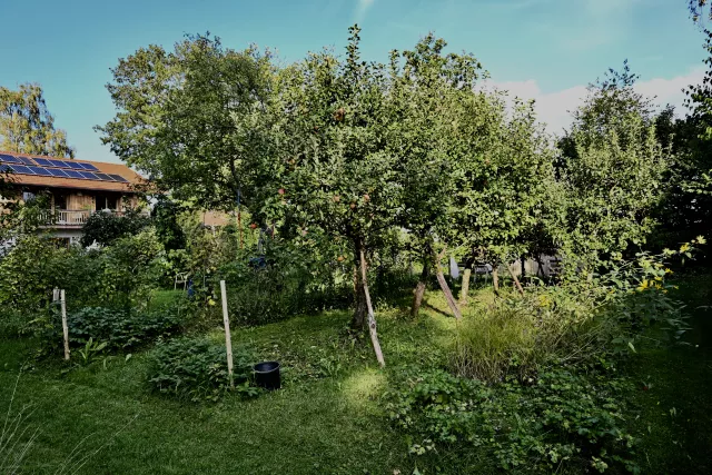 Garten mit Apfelbäumen und Blick auf das Südhaus