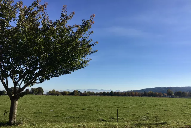 Blick in die Berge in der Nähe von Vagen (3 km entfernt)