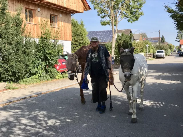 Pferde vom nahe gelegenen Reiterhof, hier ist oft Hufgetrappel vor der Tür