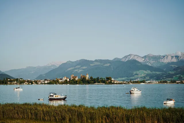 Zürichsee und Rapperswil. Bild: Ilia Bronskiy
