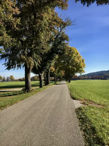 Alle von Vagen nach Thalham (in der Nähe)