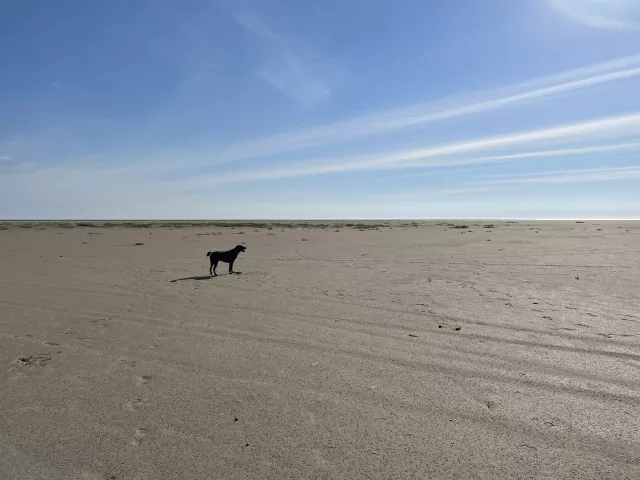 Nordby Bad - fußläufig erreichbar. Badestrand & Ausflug (befahrbar)