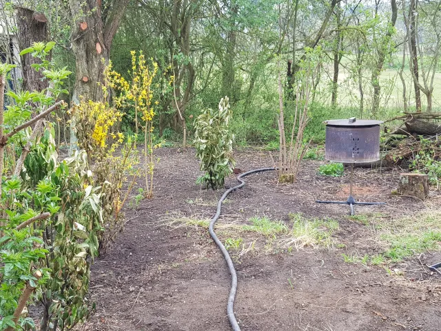 Blick vom Sommergarten