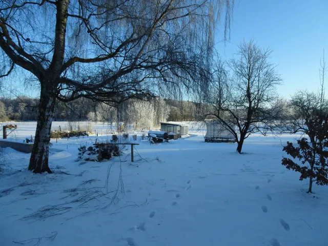 Garten im Winter