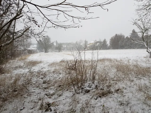 Blick nach Norden zum Haus / Hof
