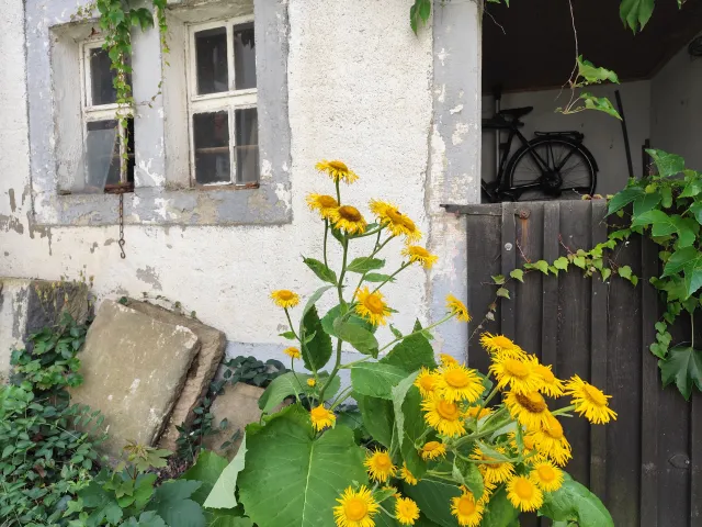 Innenhof