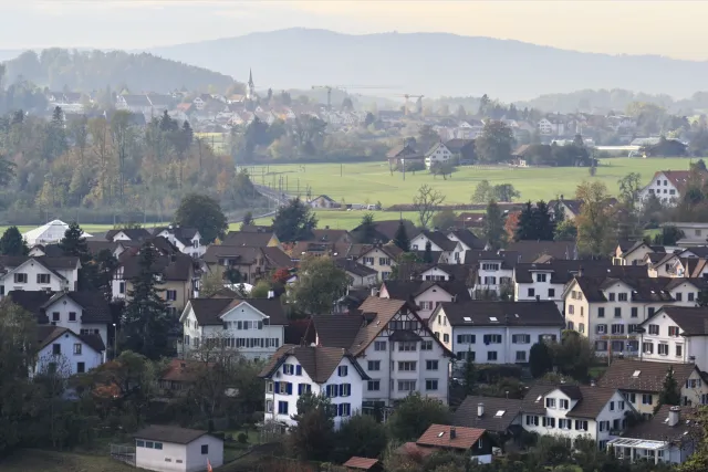 Tann. Bild: Roland_Zh