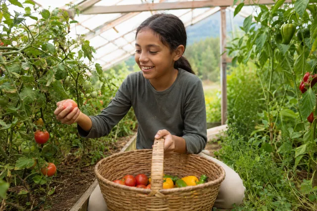 Unsere Vision: Tomaten und Paprika aus der eigenen Erde statt anonym aus der Verpackung. Ein Ort, an dem Kinder mit der Natur aufwachsen und lernen: Zukunft beginnt in unseren Händen.