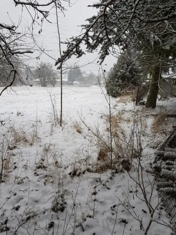 Blick nach Norden zum Haus / Hof