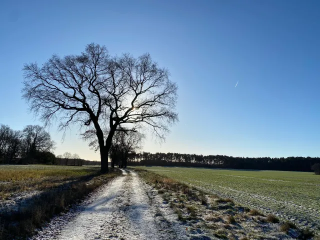 Feldwege in naher Umgebung