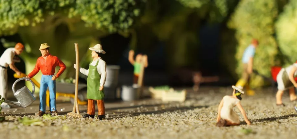 Lebensgemeinschaft – Gemeinsam neue Wohnformen leben