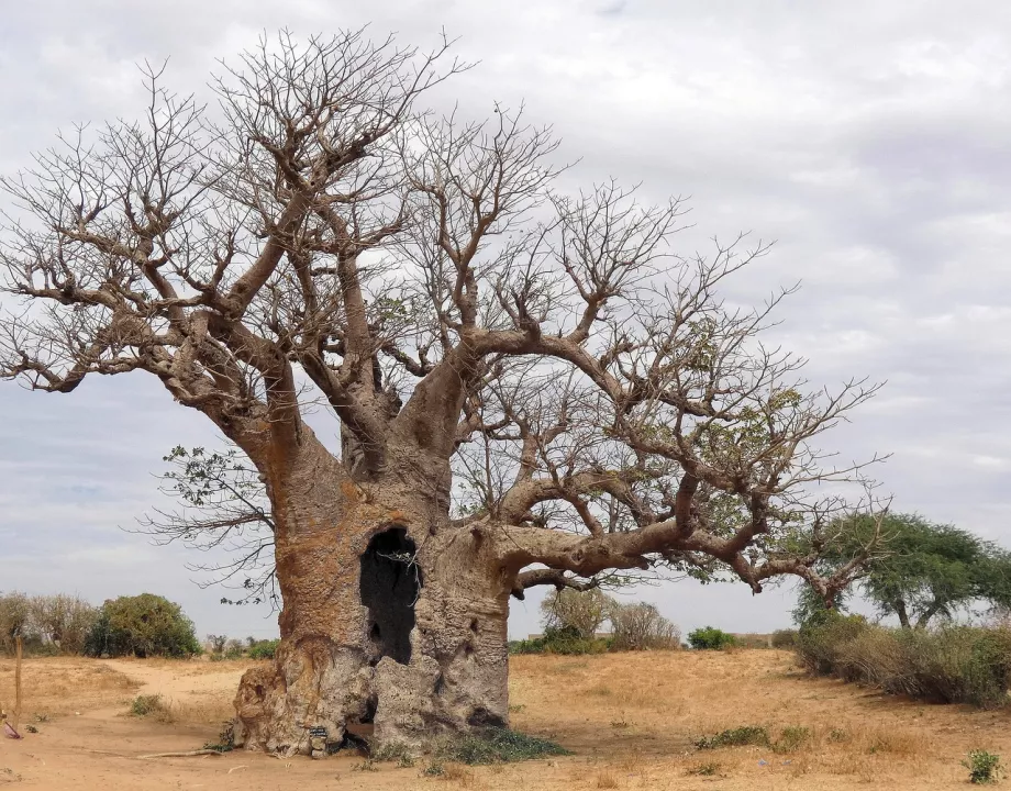 Gemeinsam Wohnen in Senegal