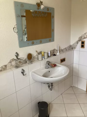 Duschbad im Halbsouterrain Whg. Mondschaukel