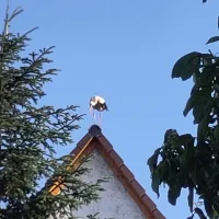 Anja_Ka